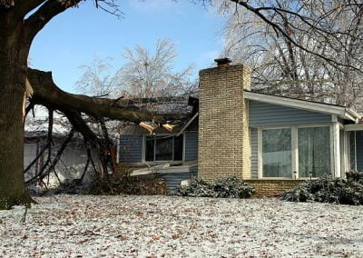 A fallen tree has damaged the roof of a suburban house during winter, causing structural harm to the chimney and windows, turning the property into an unintended gallery of nature's unpredictable power.